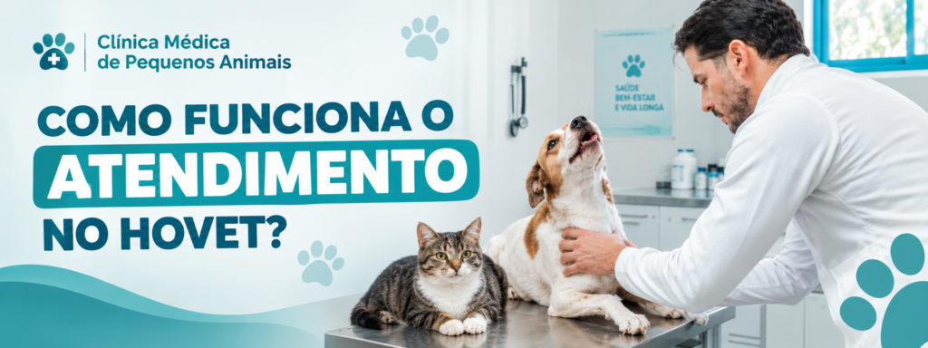 ATENDIMENTO PEQUENOS ANIMAIS